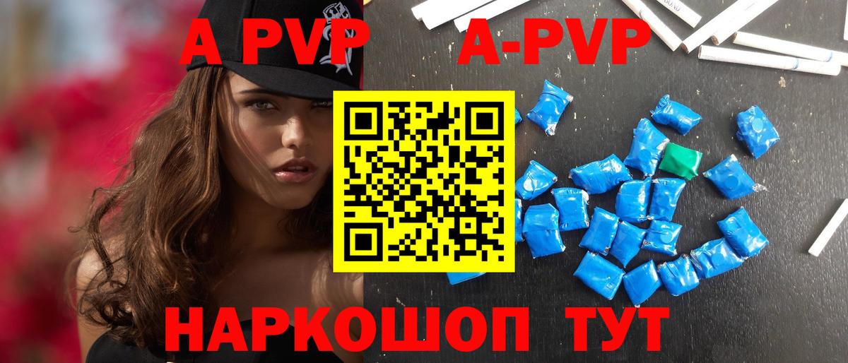 A PVP крисы CK Луга