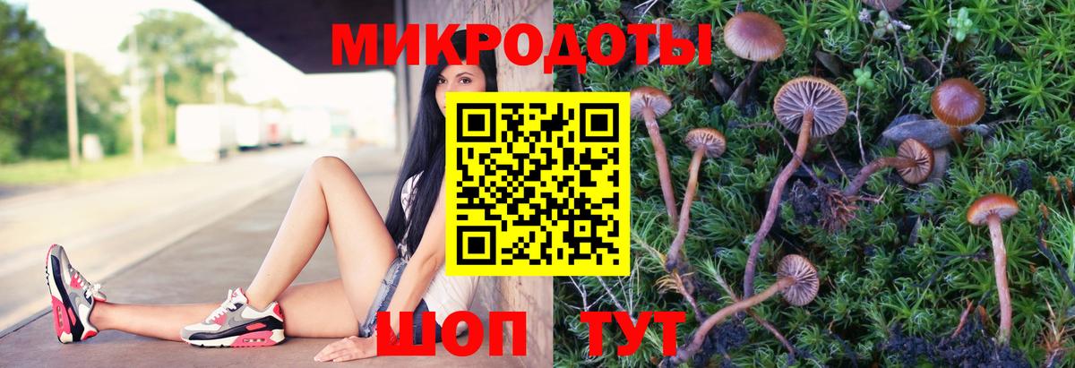 Галлюциногенные грибы мухоморы  Вход с VPN  Луга 