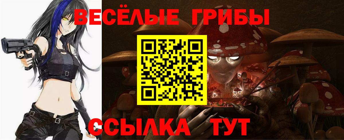 Псилоцибиновые грибы прущие грибы Луга